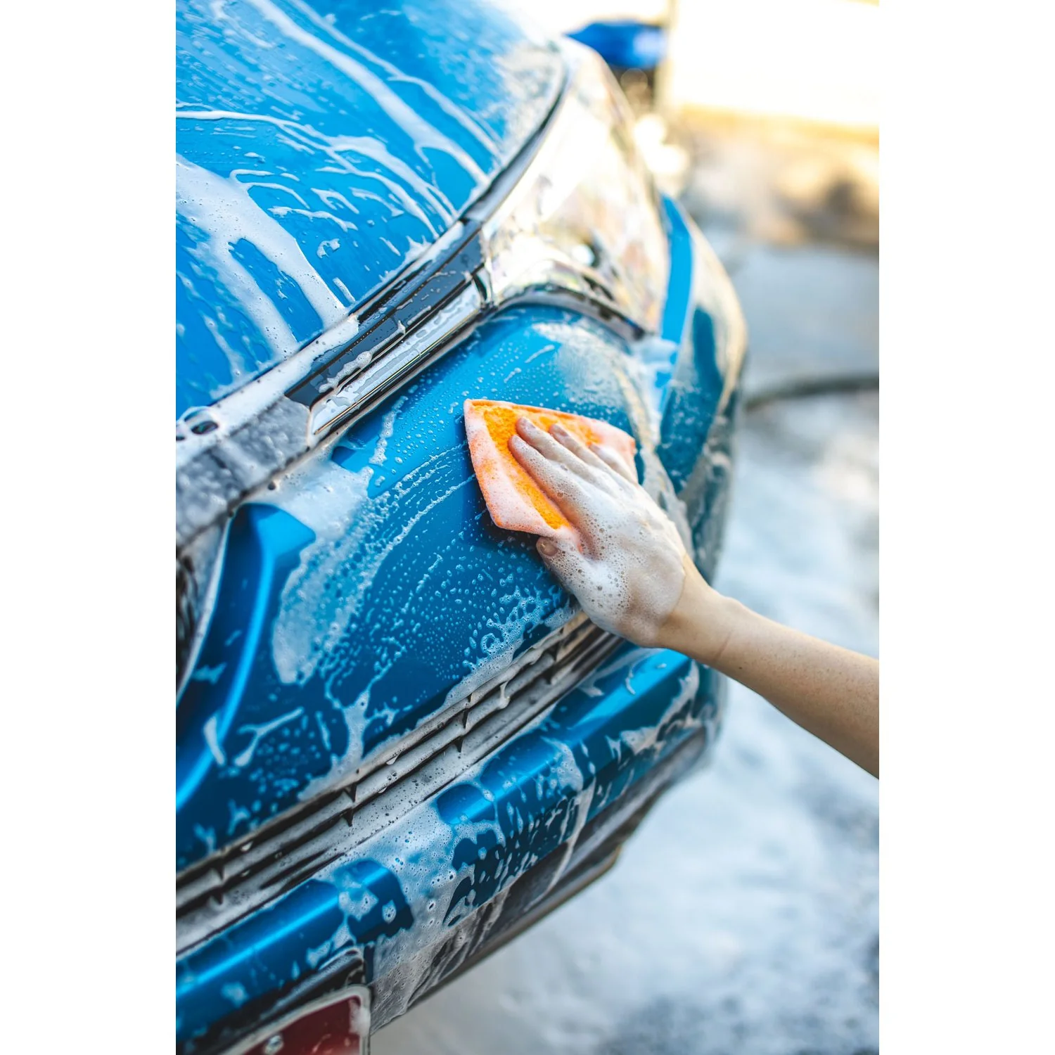 Jersey Bug Scrubber Pad - Image 8