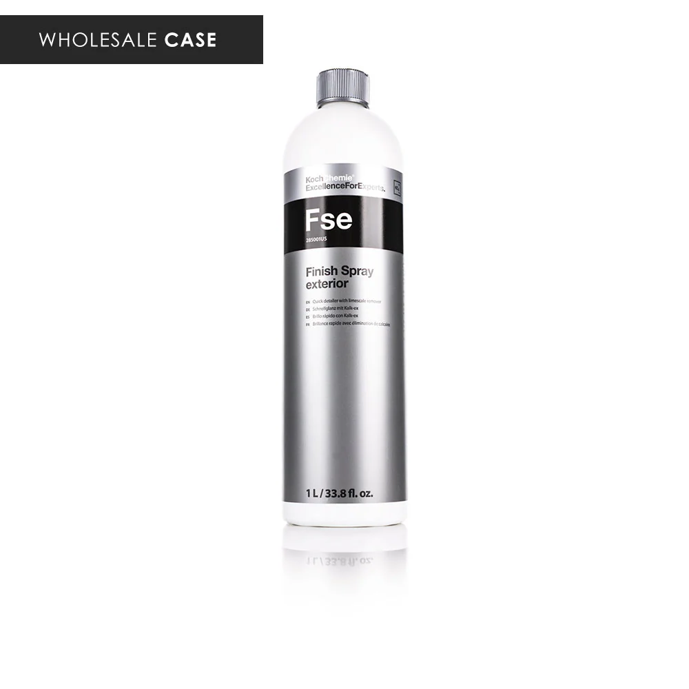 Finish Spray Exterior (Fse) - Case